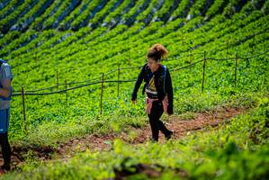 BIB: 
                            <button type="button" onclick="openModal(19162338)" class="btn btn-primary btn-sm float-right btn-popup" data-toggle="modal" data-target=".modal-high-quality">
                        <i class="fas fa-shopping-cart"></i> Add to Cart
                    </button>
                                            <button type="button" onclick="isThisMe(19162338, true)" class="btn btn-success btn-sm float-right btn-popup btn-isme hidden" data-toggle="tooltip" data-placement="bottom" title="นี่คือรูปของคุณใช่ไหม คลิกที่นี่เพื่อเอาเข้าอัลบั้ม">
                        <i class="fas fa-plus"></i> Add to album
                    </button>
                    <button type="button" onclick="isThisMe(19162338, false)" class="btn btn-warning btn-sm float-right btn-popup btn-isnotme hidden">
                        <i class="fas fa-ban"></i> Remove from album
                    </button>